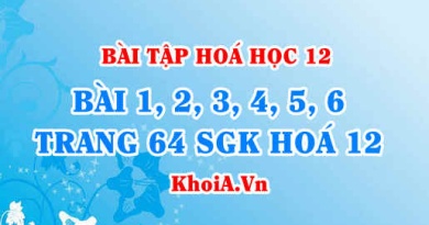 Bài tập đại cương Polime: Giải bài 1, 2, 3, 4, 5, 6 trang 64 SGK Hóa 12